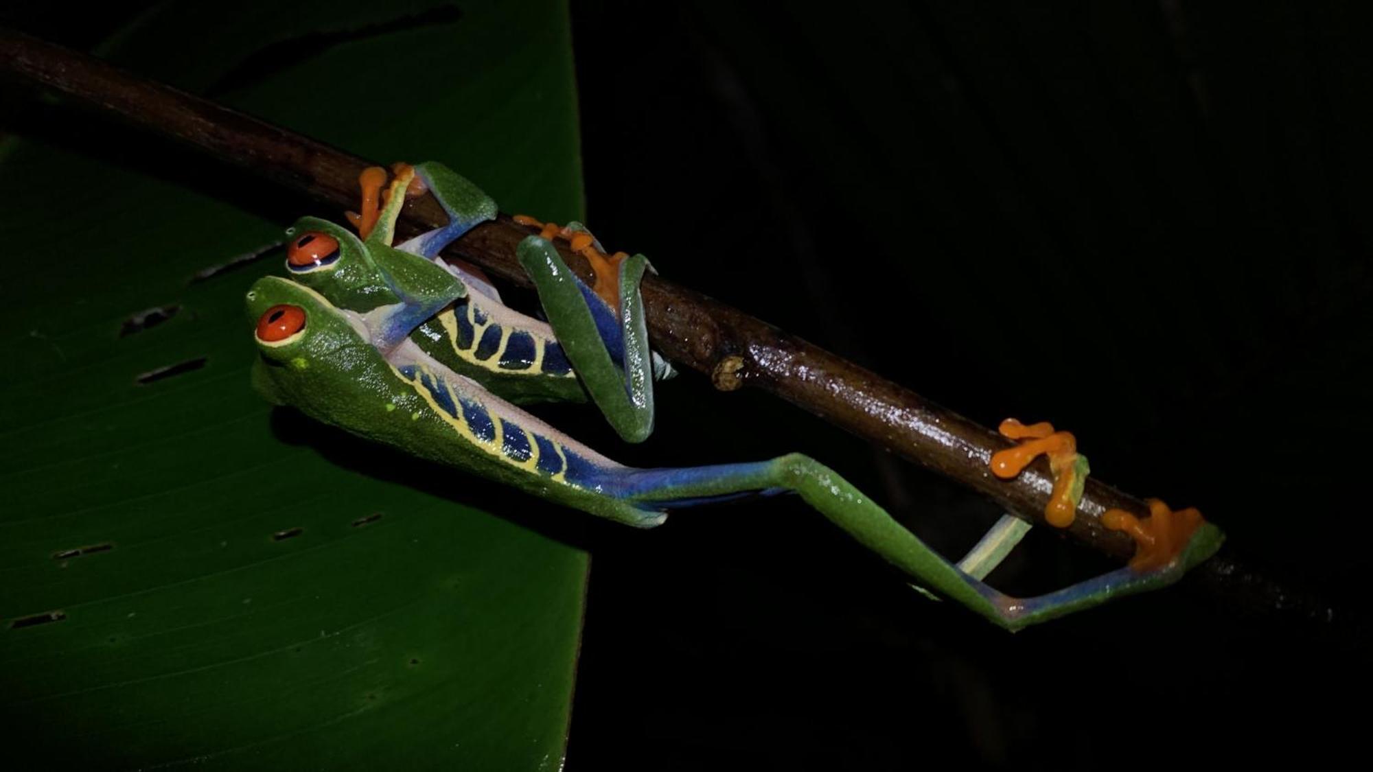 Arenal Monara Hotel La Fortuna Buitenkant foto